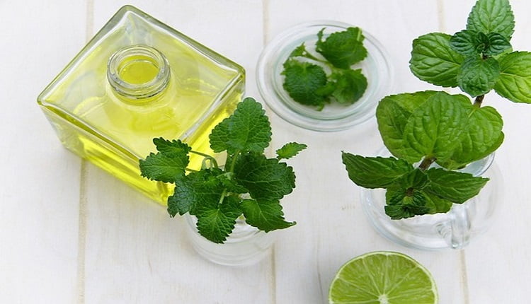 كيفية صنع العطر في المنزل؛ تعرف معنا على أهم الطرق خطوة بخطوة 4 طريقة صنع عطر النعناع ورق من النعناع بجانب زجاجة