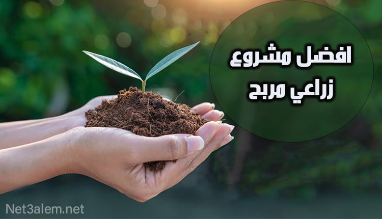 افضل مشروع زراعي مربح profitable agricultural project صورة ليد تمسك القليل من الطين في وسطه حشائش