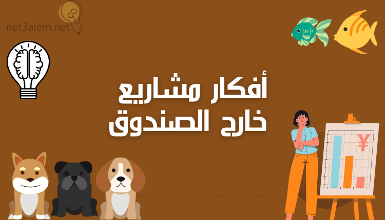 أفكار مشاريع خارج الصندوق