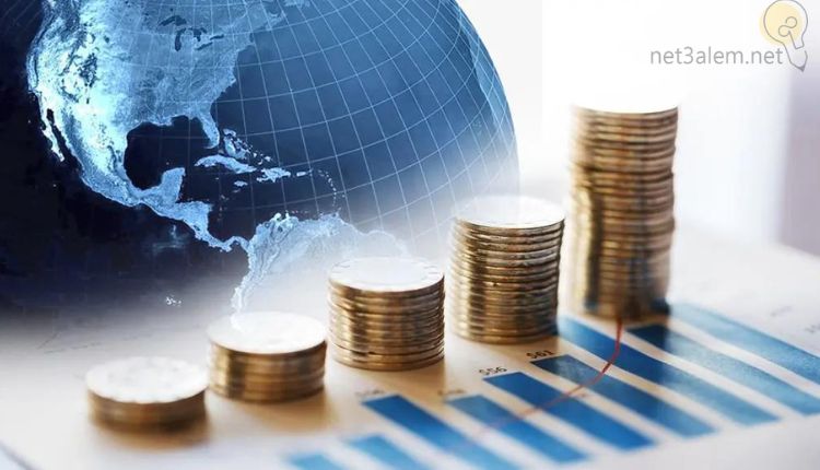 الاستثمار الأجنبي في السعودية؛ تعرف معنا على أبرز 8 شروط للبدء فيه 4 الاستثمار الأجنبي المباشر في السعودية صورة لنقود معدنية