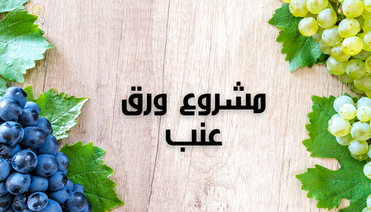 مشروع ورق عنب؛ تعرف على أفضل طريقة للترويج له 10 مشروع ورق عنب (Grape Leaves Project)