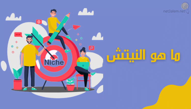 ما هو النيتش؛ دليل شامل لاختيار Niche مناسب 2023 11 ما هو النيتش What is a niche