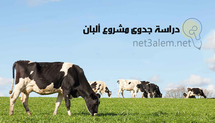 دراسة جدوى مشروع ألبان؛ 10 شروط لإنشاء معمل ذو جودة عالية 9 دراسة جدوى مشروع ألبان Feasibility study for a dairy project صورة لسماء صافية ومجموعة من البقر يأكلون من الحشائش