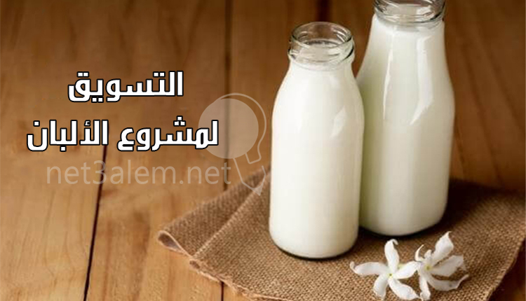 دراسة جدوى مشروع ألبان؛ 10 شروط لإنشاء معمل ذو جودة عالية 3 الترويج لمشروع الألبان والأجبان وصورة بها زجاجتين من الحليب بخلفية خشبية وبجانبهم زهرة بيضاء