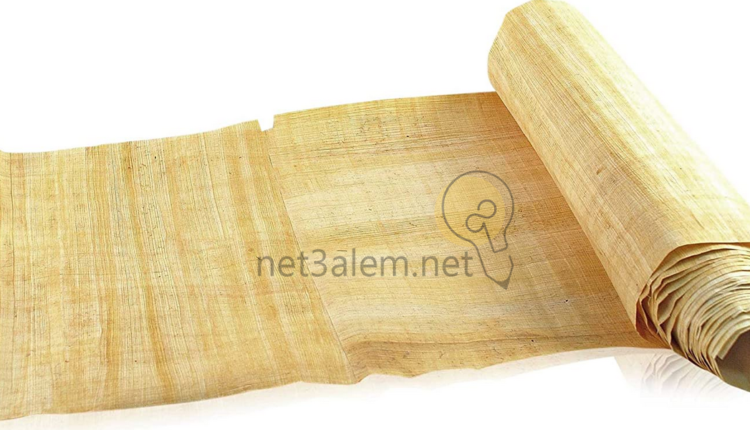 إيجابيات أوراق البردي: صورة ورقة بردي مفرودة من جانب وملفوفة من الجانب الآخر