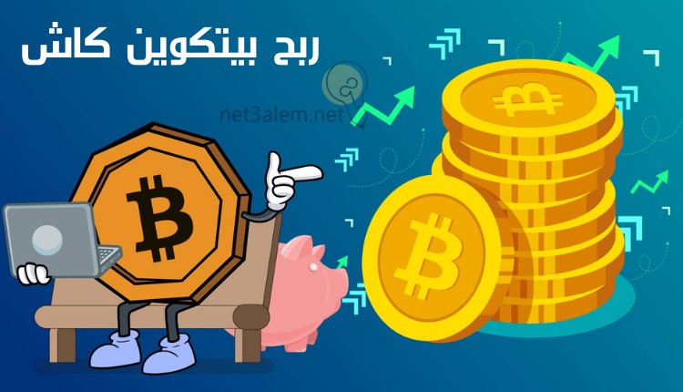 ما هي بيتكوين كاش؛ إليك أهم 7 خطوات لإنشاء محفظة لها 3 كسب بيتكوين كاش: صورة عملة بيتكوين على شكل إنسان يجلس على كنبة ويحمل لاب توب وعملات بيتكوين معدنية
