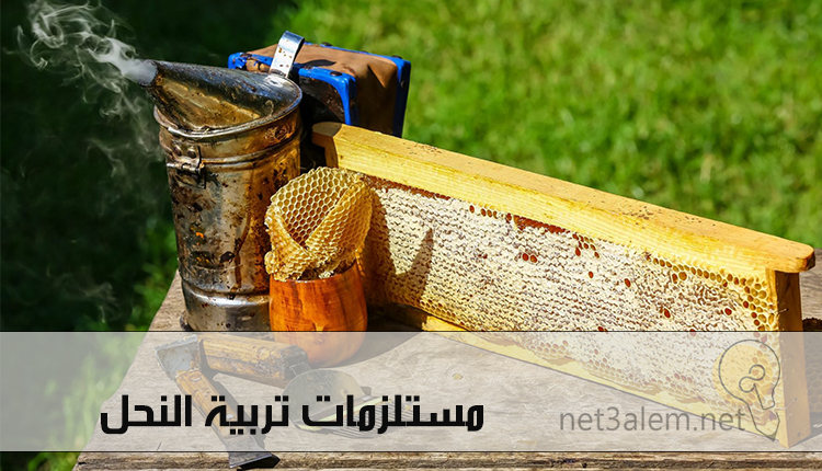 تربية النحل في المنزل؛ أهم مستلزمات Beekeeping للمبتدئين 3 أشهر مستلزمات تربية النحل في المنزل