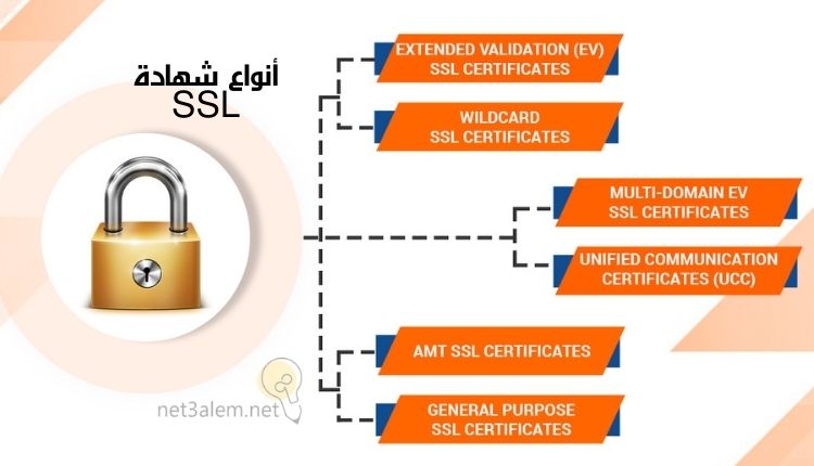 ما هي شهادة SSL؛ نقدم لكم أبرز 4 خطوات تساعدك على الحصول عليها بسهولة 2 أشكال شهادة SSL: صورة قفل يخرج منه مخطط سهمي يوضح ستة أنواع من شهادة SSL