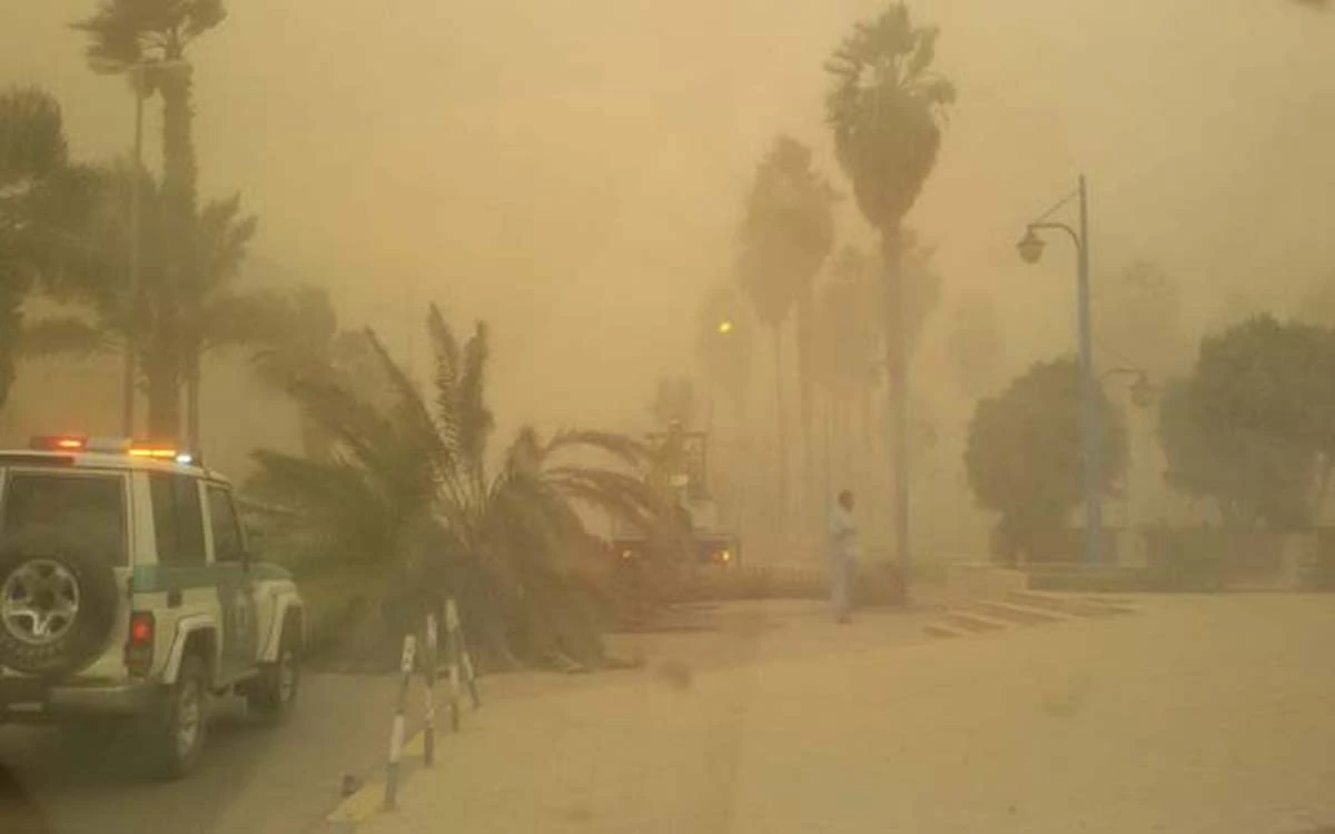 أحوال الطقس غداً غير مستقرة .. الديوان الوطني للأرصاد الجوية يحذر من تقلبات المناخ خلال الساعات المقبلة