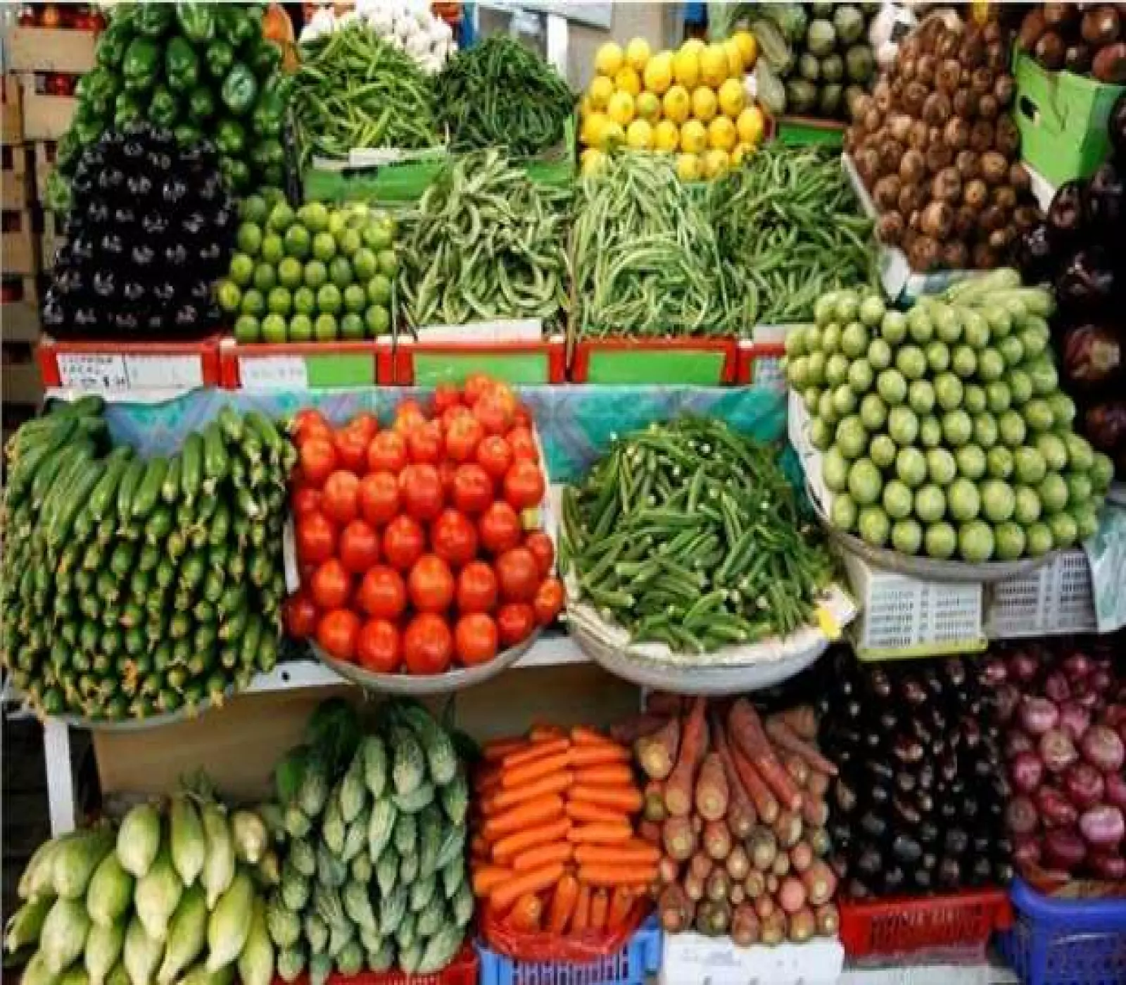 أسعار الخضروات والفواكه عشية عيد الفطر المبارك في عدن.. قائمة مفصلة بأسعار أكثر الأصناف طلبا من المواطنين 3 أسعار الخضروات والفواكه عشية عيد الفطر المبارك في عدن.. قائمة مفصلة بأسعار أكثر الأصناف طلبا من المواطنين