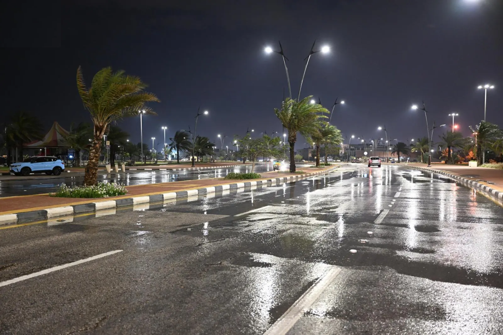 الأماكن والمواعيد.. أمطار خفيفة على أجزاء من المنطقة الشرقية 4 %18 نسبة العقم بالشرقية..