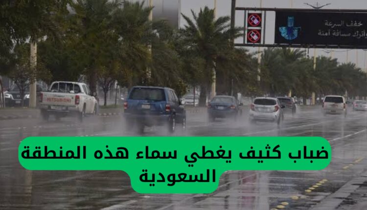 ضباب كثيف يغطي سماء هذه المنطقة السعودية