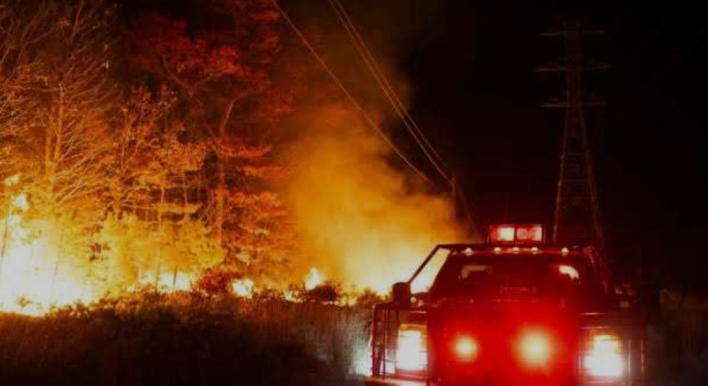 بالصور.. حرائق الغابات تستعر بسبب الرياح في لونج آيلاند بنيويورك 2 إضراب يتسبب في غلق مطار هامبورج وإلغاء جميع الرحلات