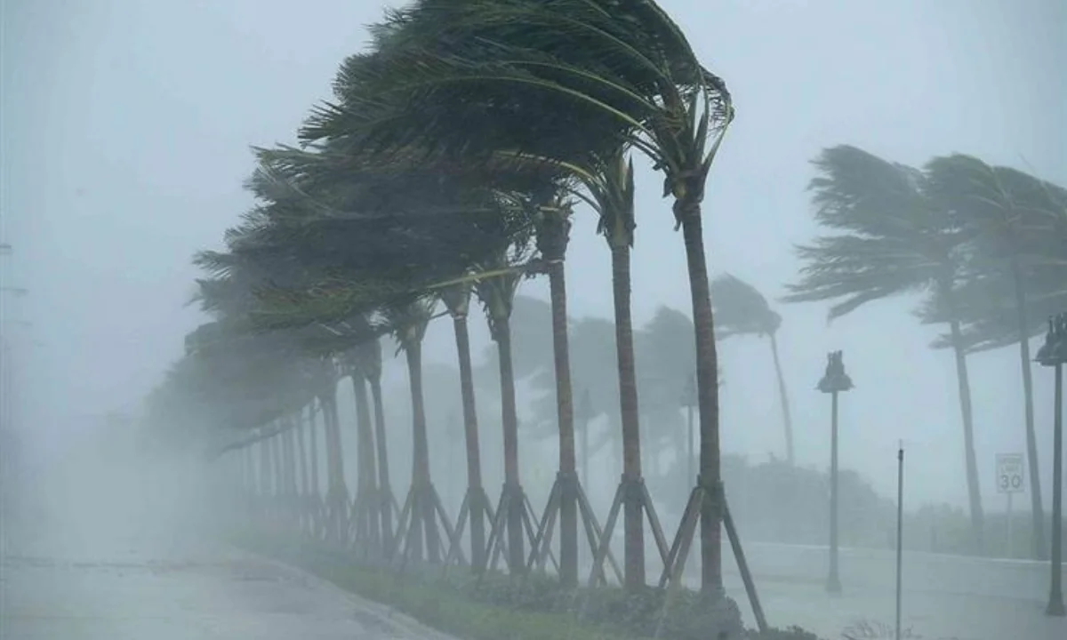 “تحذيرات الأرصاد من موجة طقس غير مستقرة”.. رياح قوية وأمطار تضرب الجزائر مع تنبيهات من المستوى الأول والثاني