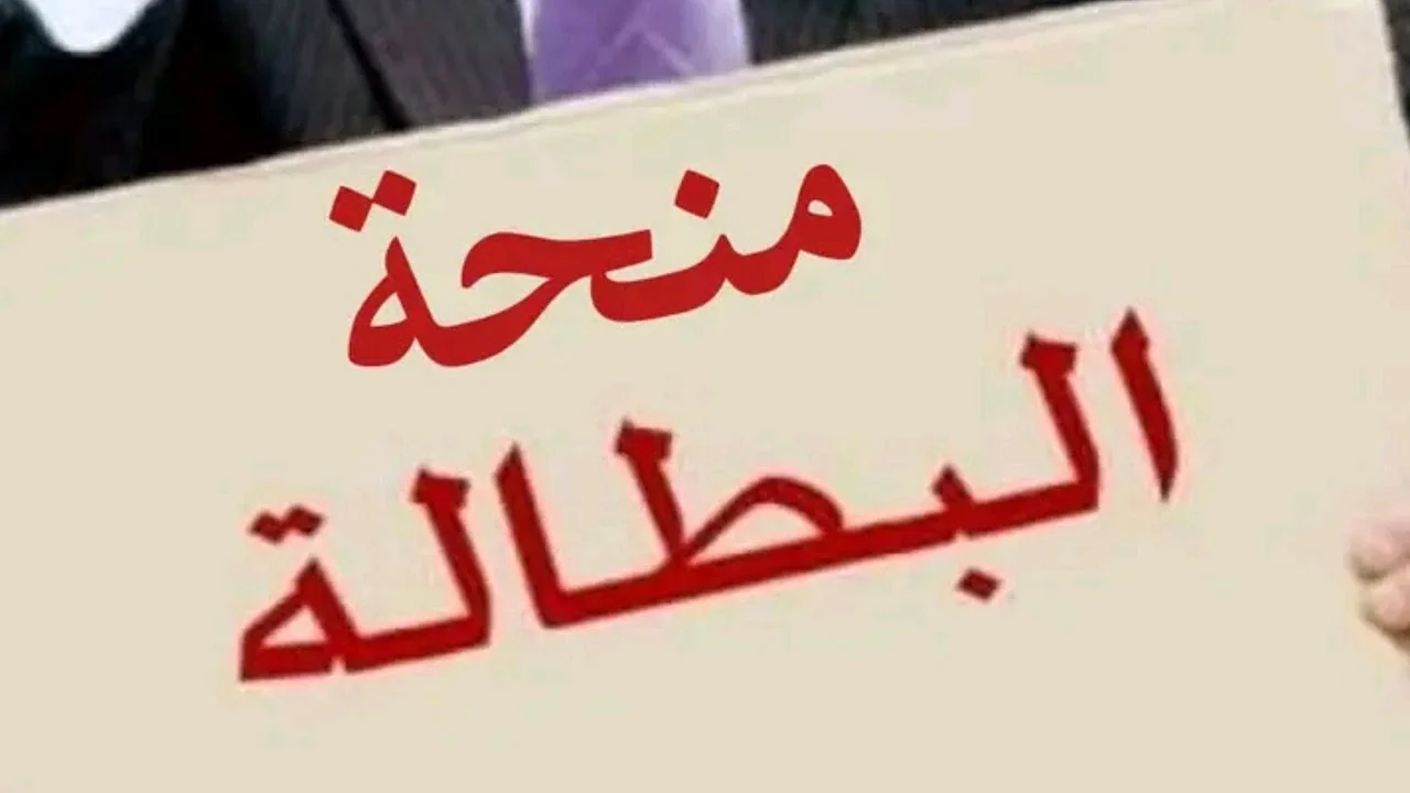 جددها الآن”.. خطوات تجديد منحة البطالة كل 6 أشهر عبر موقع الوكالة الوطنية للتشغيل minha.anem.dz