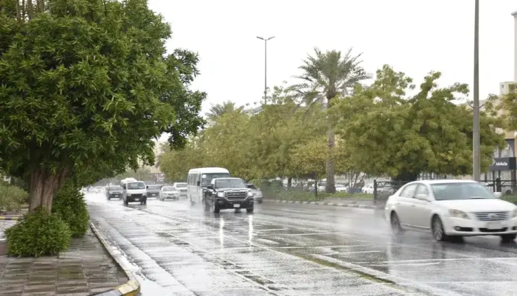 حالة الطقس اليوم الأحد 30-3-2025 في السعودية.. أمطار غزيرة وسيول تضرب المملكة
