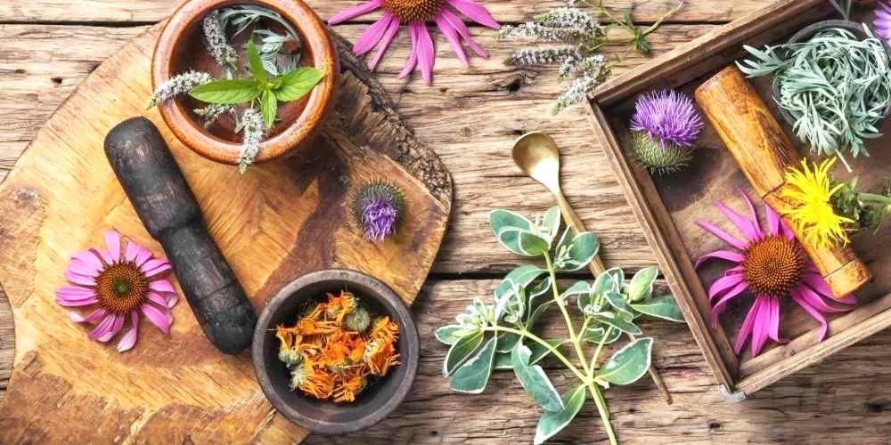 دون اشتراط أن يكون المالك سعودياً.. السماح بممارسة الأنشطة الصيدلية و«العشبية» - أخبار السعودية