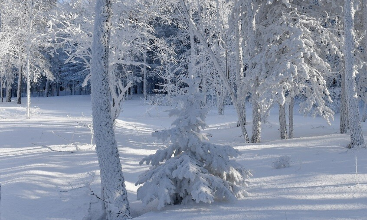 طقس المملكة .. الأرصاد تحذر من أمطار رعدية وتساقطات ثلجية كثيفة على المرتفعات مع هبات رياح قوية في عدة مناطق