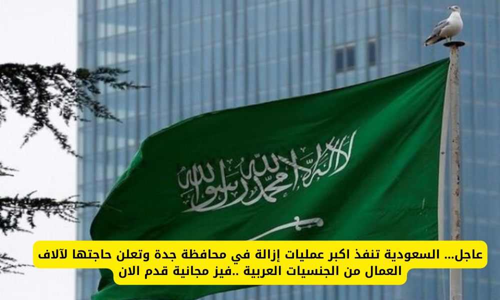عاجل… السعودية تنفذ اكبر عمليات إزالة في محافظة جدة وتعلن حاجتها لآلاف العمال من الجنسيات العربية ..فيز مجانية قدم الان 2 عمليات إزالة في جدة
