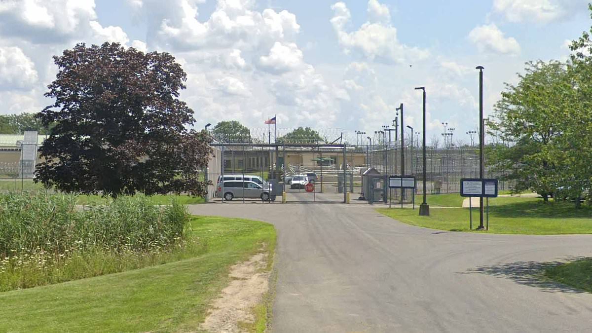 مراهقة في مدينة نيويورك “تعرضت للاغتصاب من قبل أخصائية نفسية لقب” بيج فوت “على مدار 30 مرة في سجن الأحداث” 5 مراهقة في مدينة نيويورك “تعرضت للاغتصاب من قبل أخصائية نفسية لقب” بيج فوت “على مدار 30 مرة في سجن الأحداث”