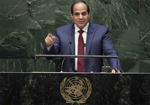 مصريون في نيويورك ينظمون جولة بشوارع المدينة دعما لزيارة الس 3 مصريون في نيويورك ينظمون جولة بشوارع المدينة دعما لزيارة الس