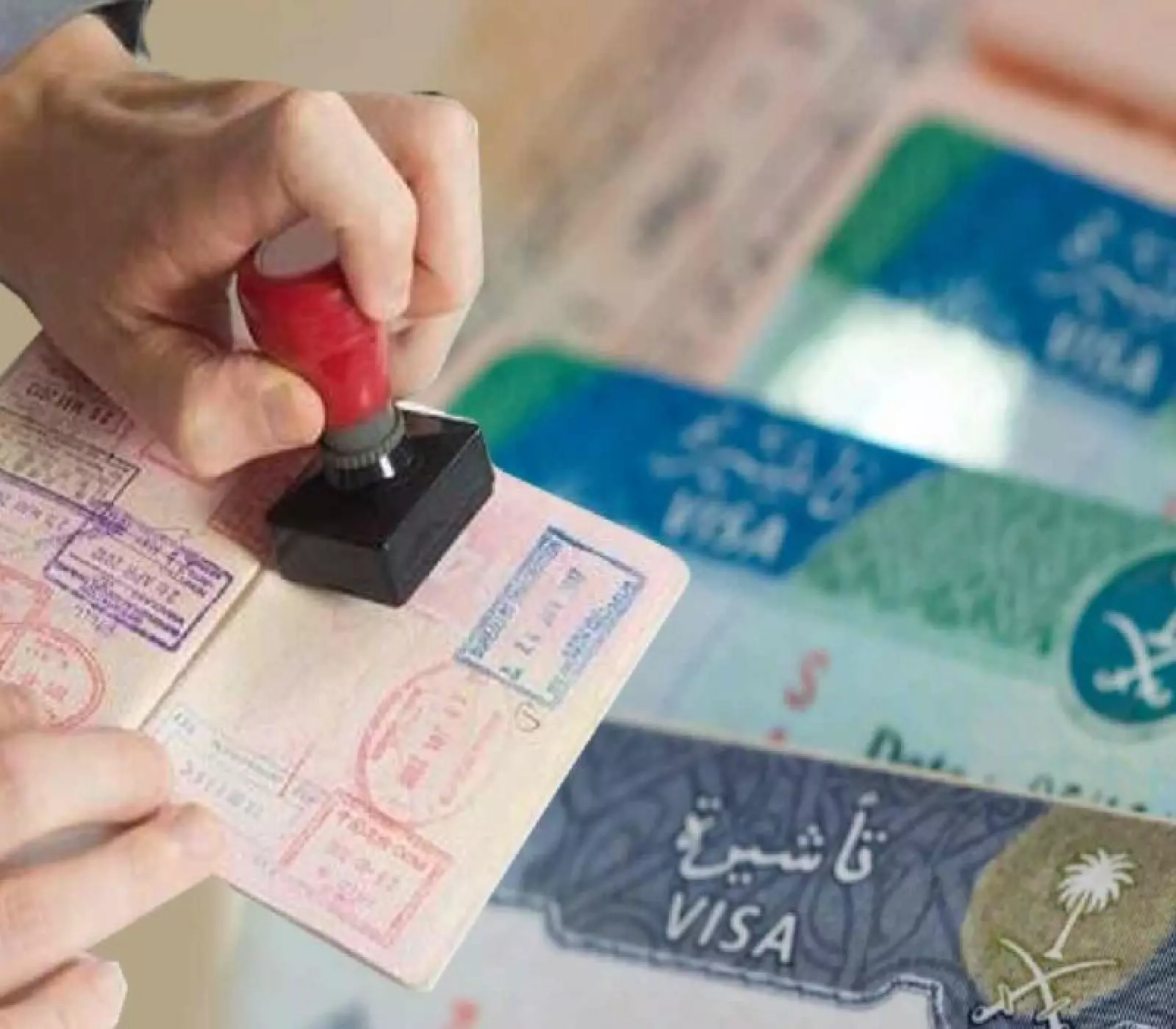 مفاجأة سارة للمقيمين.. تجديد تأشيرة العائلة أصبح أسهل من منزلك! (طريقة التقديم) 5 مفاجأة سارة للمقيمين.. تجديد تأشيرة العائلة أصبح أسهل من منزلك! (طريقة التقديم)