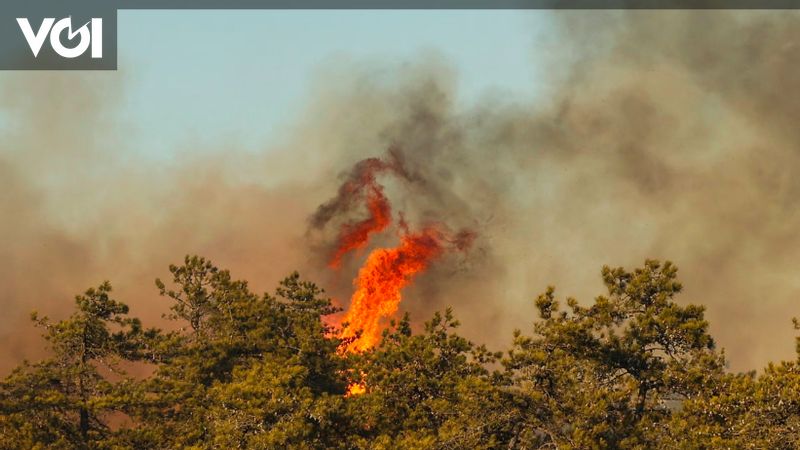 نيويورك تضع حالة طوارئ بسبب حرائق الغابات في لونغ آيلاند 5 نيويورك تضع حالة طوارئ بسبب حرائق الغابات في لونغ آيلاند
