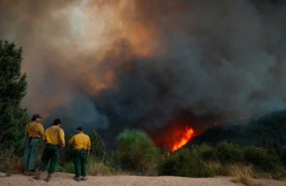 وفاة موظف في حدائق نيويورك أثناء مكافحة حرائق 5 منظمة الصحة العالمية تدعو لتمويل الاستجابة لمكافحة السل