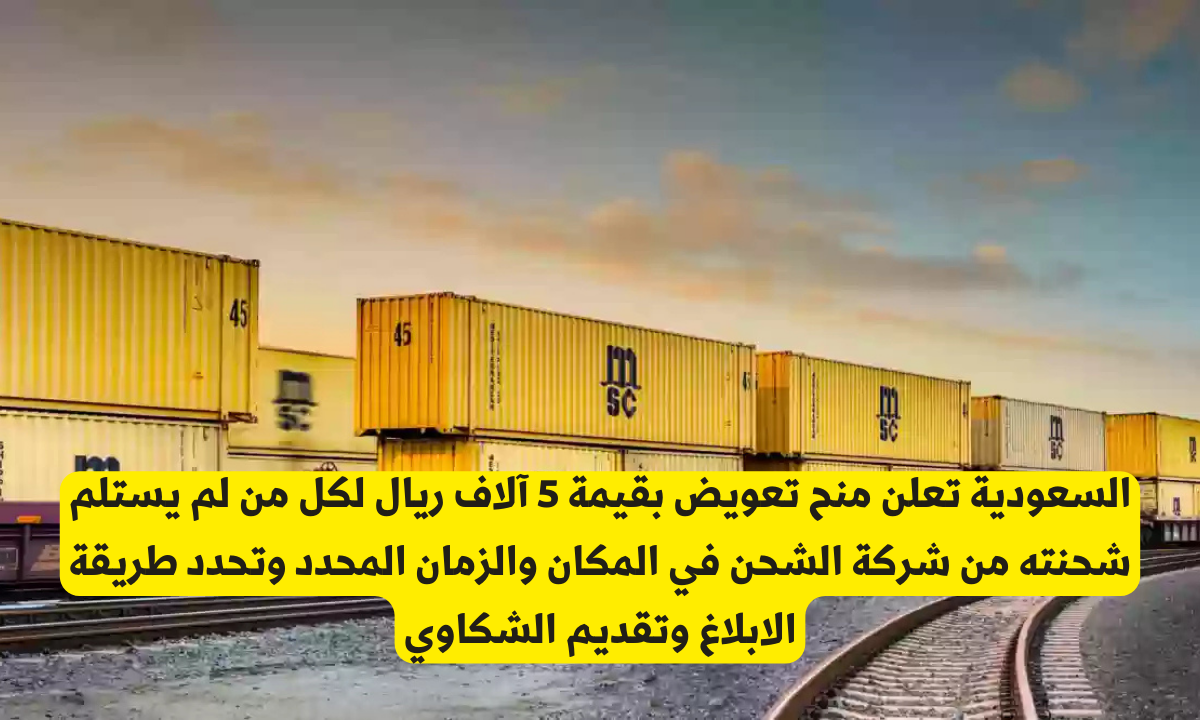5 آلاف ريال تعويض لكل من يستلم شحنته وطلبه من شركة الشحن بهذه الطريقة .. قدم بلاغك واحصل على التعويض فوراً من وزارة النقل السعودية 3 شروط استحقاق التعويض البالغ 5,000 ريال