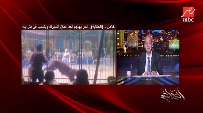 قريب ضحية النمر في سيرك طنطا يروي تفاصيل جديدة ويكشف مفاجأة بشأن ما حدث لعاملين آخرين . صحيفة المرصد