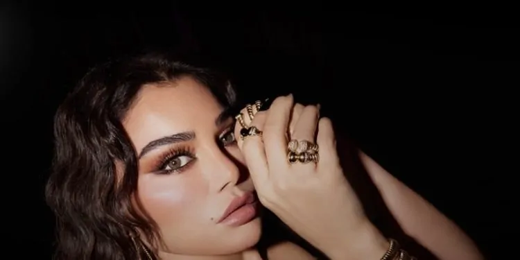 فيديو سكس هيفاء وهبي