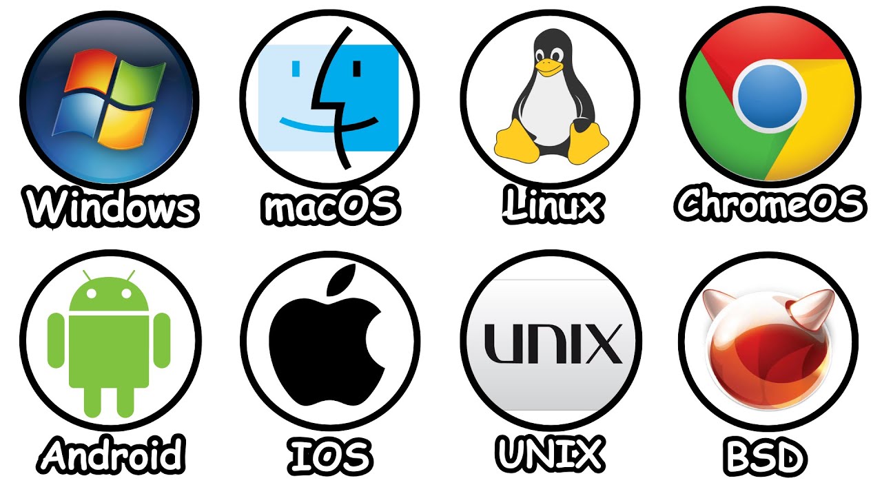 Major Operating Systems Explained: Windows, macOS, Linux & More 2 Operating Systems Explained 2026