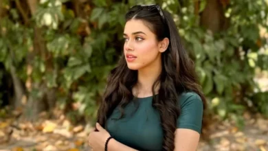alina amir xnxx