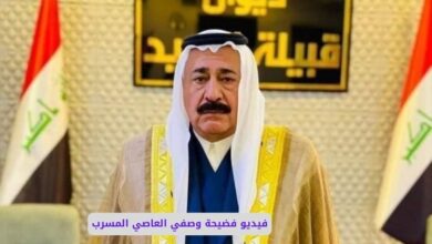 فيديو فضيحة وصفي العاصي، سكس وصفي العاصي