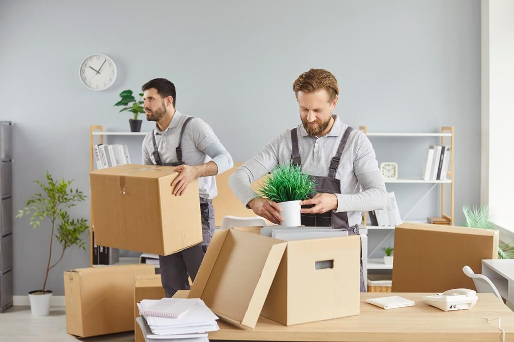 أفضل شركة نقل اثاث بالمعادي والرحاب 01031146785 3 شركات نقل اثاث في ملوي